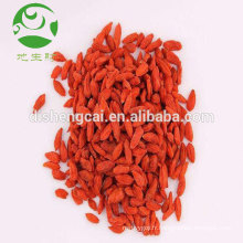 Fruits secs chinois goji bio fruit sucré du goji